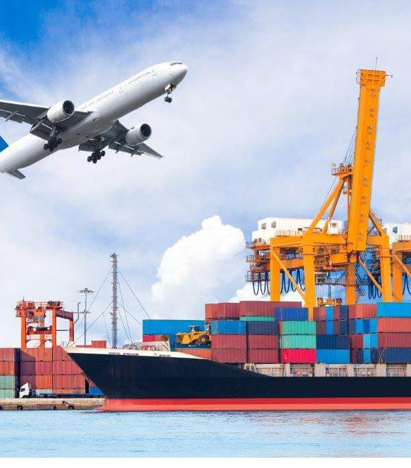 international movers in dubai